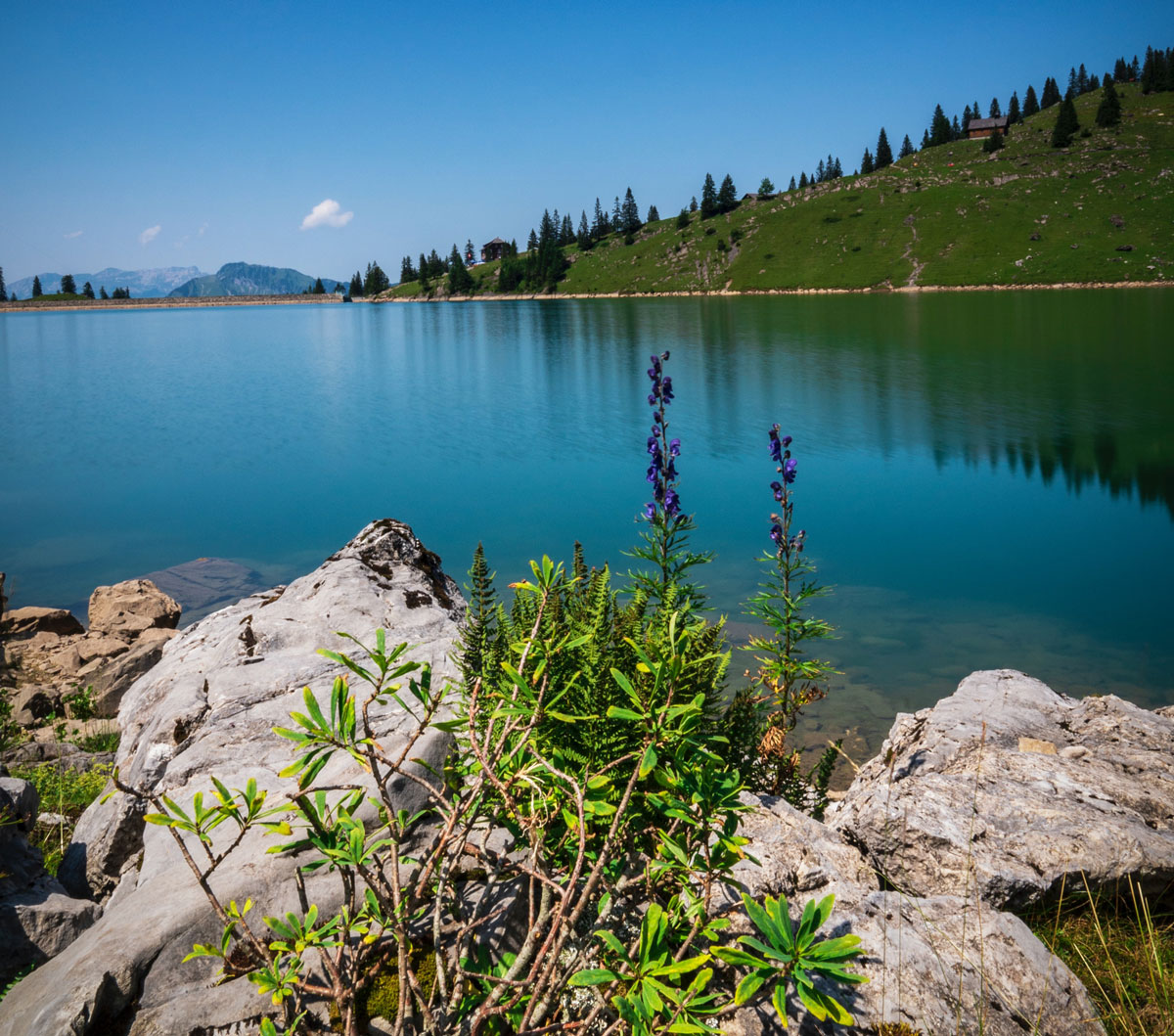webbannalpsee-unsplash
