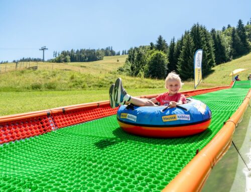 Sommerspass im Wollis Kids Park